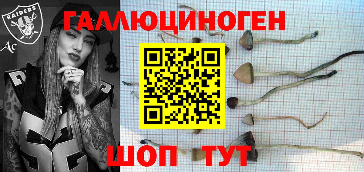 Галлюциногенные грибы Magic Shrooms  Псилоцибиновые грибы GOLDEN TEACHER  Верхний Уфалей  Вход с VPN 